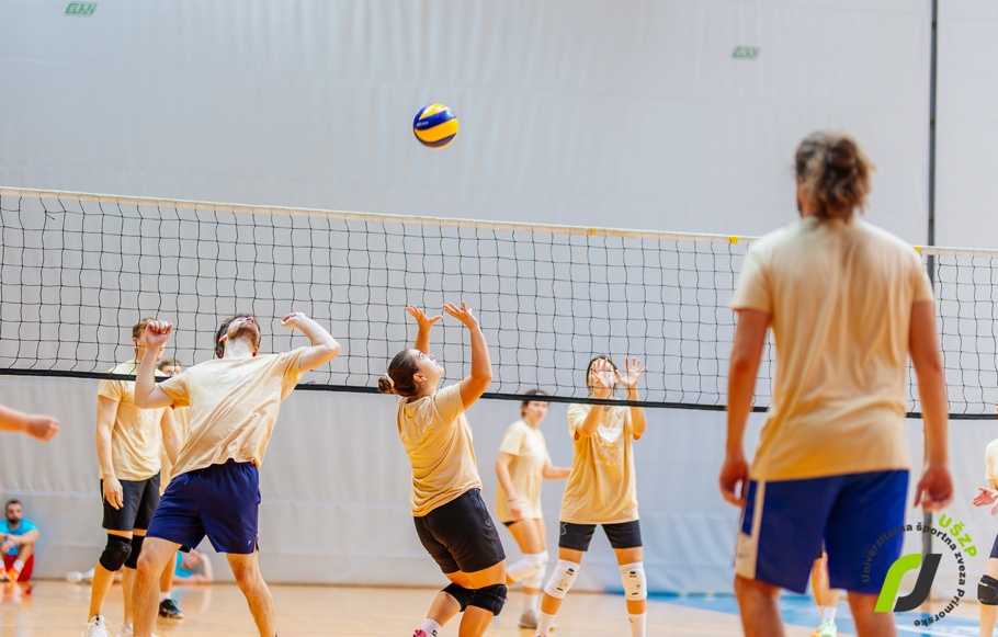 49012324411675495253381924318071795369207317n